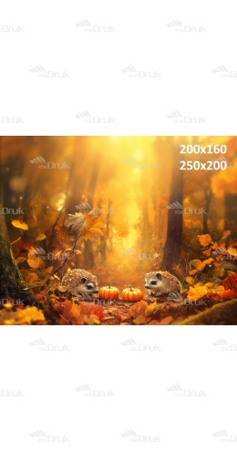 Tło fotograficzne Jesień J_175
